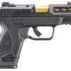 Ruger Security-380 380 ACP Pistol with Titanium Nitride Barrel
