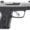 Ruger LCP Max 380 ACP Semi-Auto Pistol 75th Anniversary Model with Stainless Slide