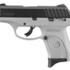Ruger EC9s 9mm Carry Conceal Pistol with Gray Frame